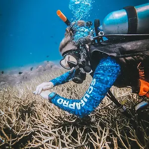 Dpm Diving & Bar Koh Tao