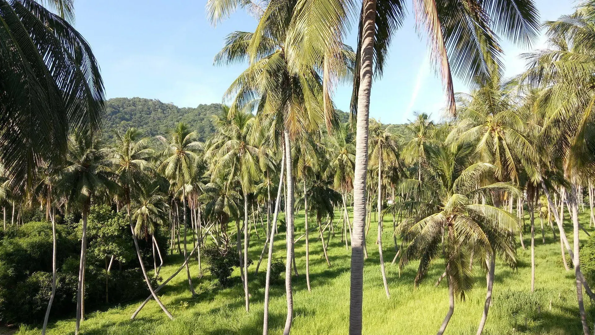**  Good Dream Hotel Koh Tao Thailand
